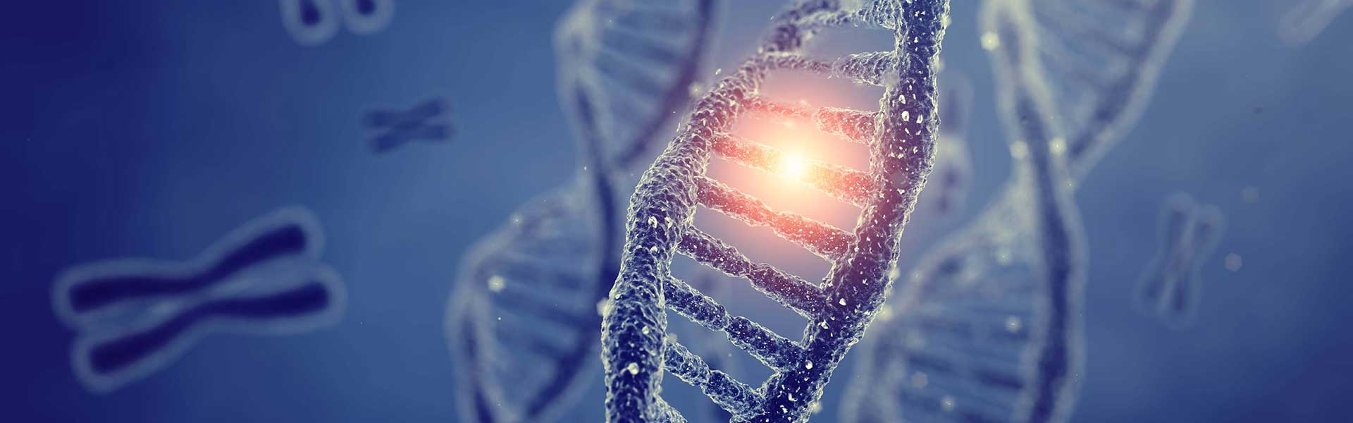 DNA strands