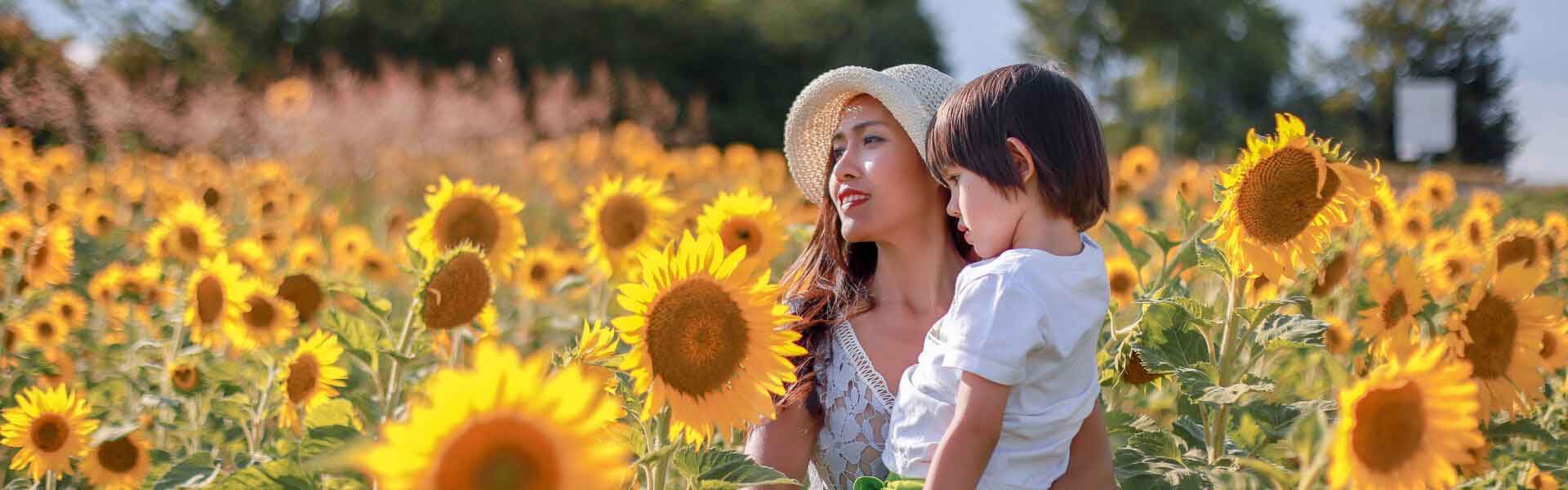 Woman and child in sunflower field