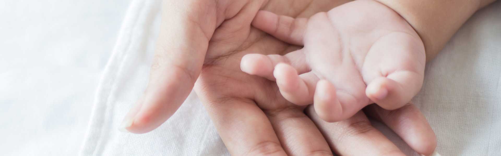 Baby hands in an adults