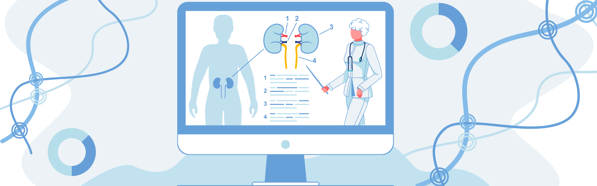 Diagram of kidneys