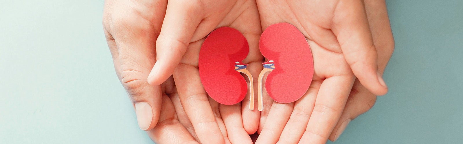 Introducing a Ready to Use Paediatric Renal Specific Feed | Webinar Recording