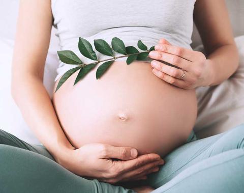 pregnant woman holding her stomach and a small branch